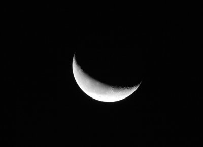 IMG_1960b.jpg