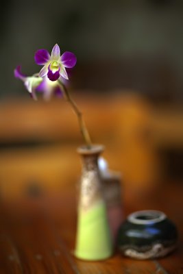 Little Orchid