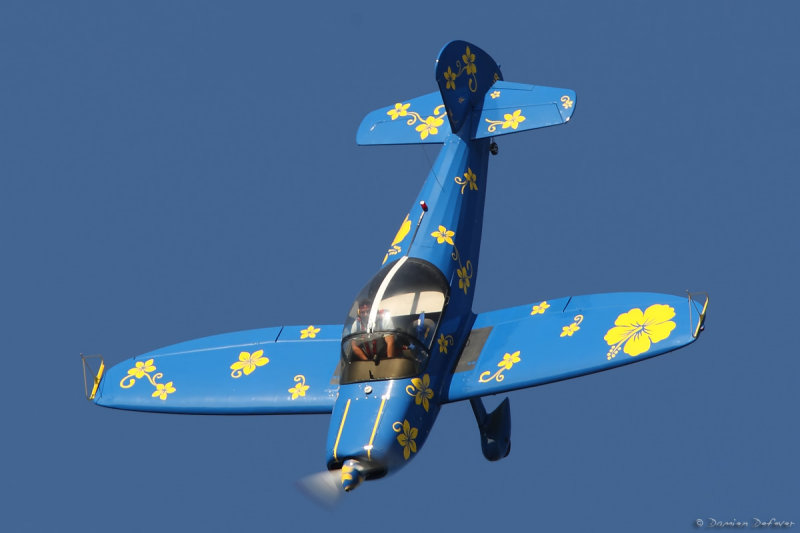 lfbj33.jpg
