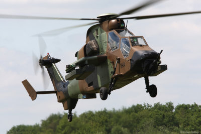 lfa03.jpg