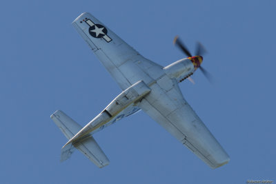 lfa14.jpg