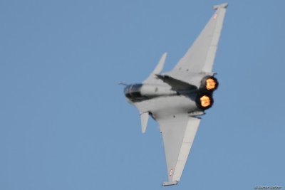 lfa17.jpg