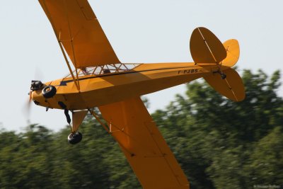 lfa19.jpg