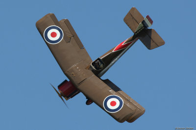 lfa25.jpg