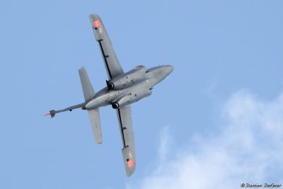 tajp06.jpg