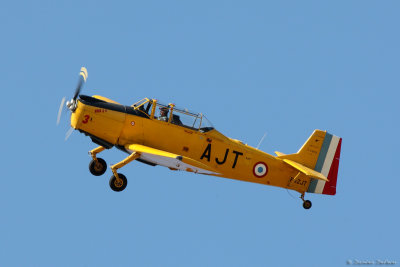 aar16.jpg