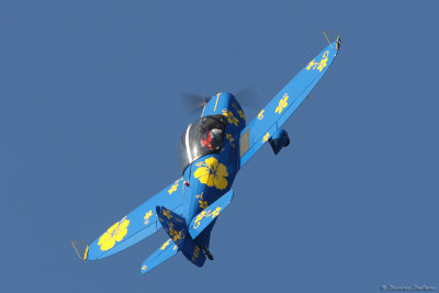 lfbj32.jpg