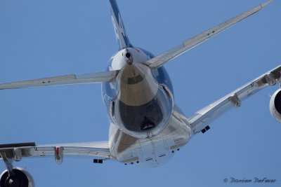aar02.jpg