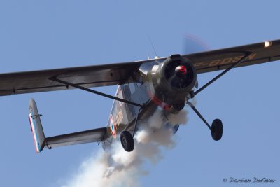 aar06.jpg
