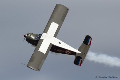 aar09.jpg