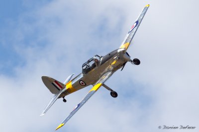 aar13.jpg