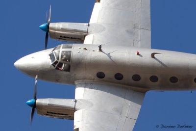 aar21.jpg