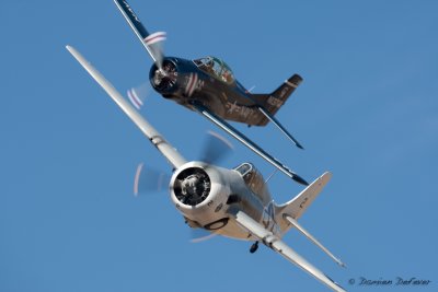 reno28.jpg
