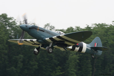 fert17.jpg