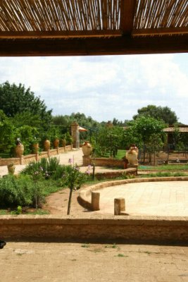 view from the kitchen on the masseria grounds