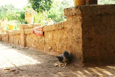 Outside the masseria