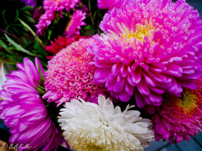 g1/57/738357/3/128204636.ps1fhLna.jpg