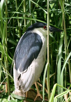 IMG_4702web.jpg