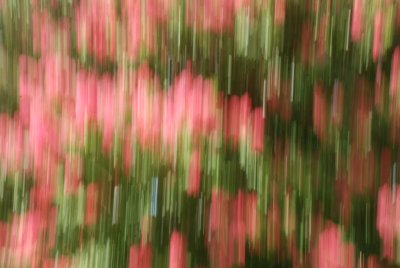 MOTION