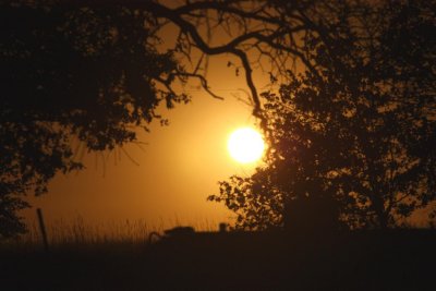 night pic2 (Large).jpg