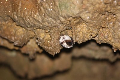 onyx cave 19 (Large).jpg