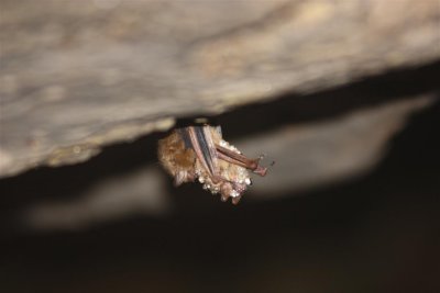 onyx cave 24 (Large).jpg