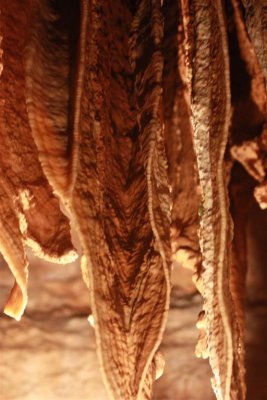 talking rocks cave 4 (Large).jpg