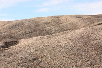 ten acre rock 14 (Large).jpg