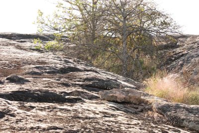 ten acre rock 19 (Large).jpg