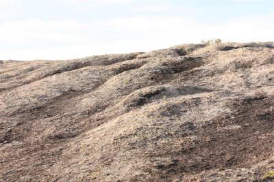 ten acre rock 20 (Large).jpg