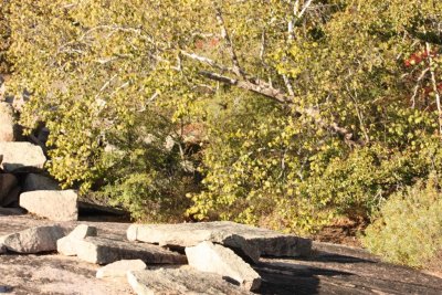 ten acre rock 23 (Large).jpg