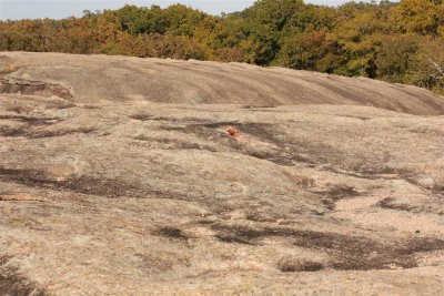 ten acre rock 6 (Large).jpg