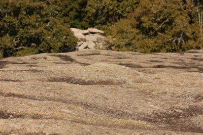 ten acre rock 7 (Large).jpg