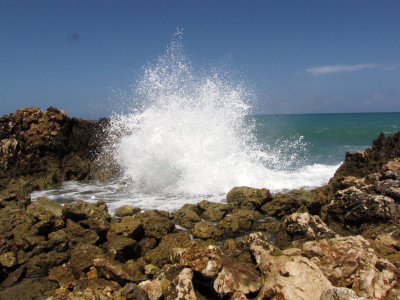 SPLASH