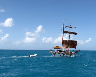 St Martin-Caribbean_0322.jpg