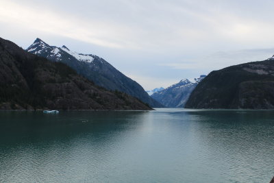 IMG_0378.JPG