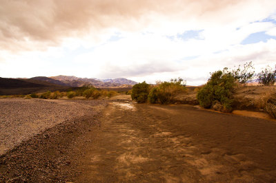 Death Valley Amargosa river channel