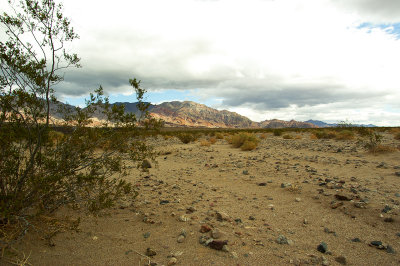 Death Valley from river channel