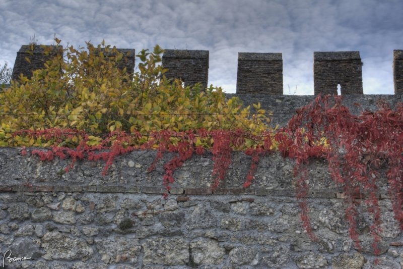 Castello di San Salvatore