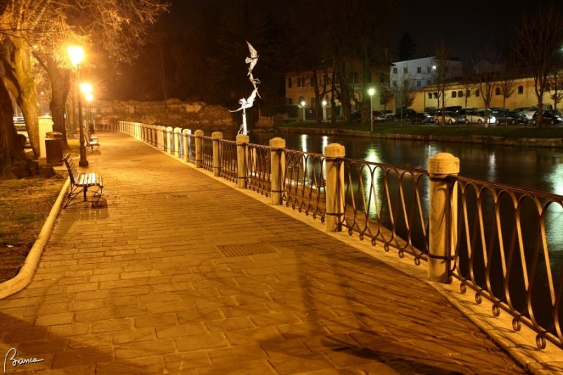 Treviso