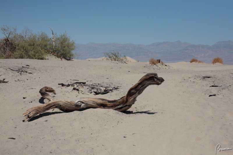 Death Valley