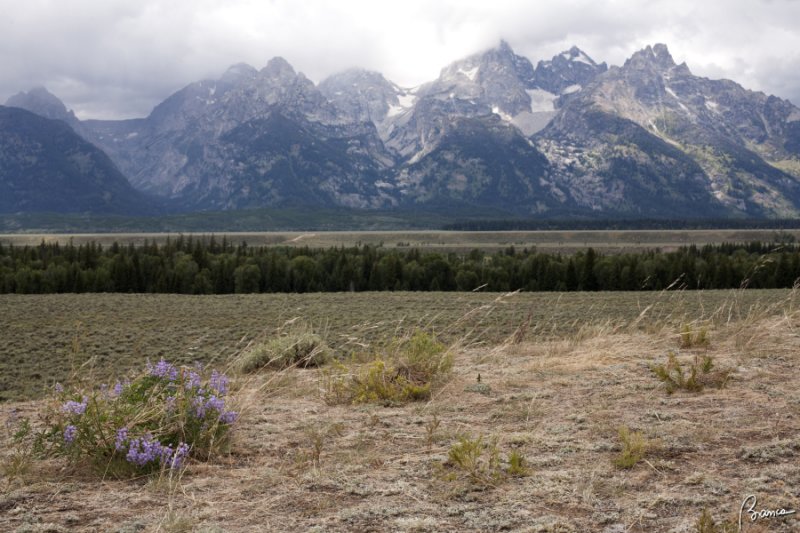 Grand Teton Mountains