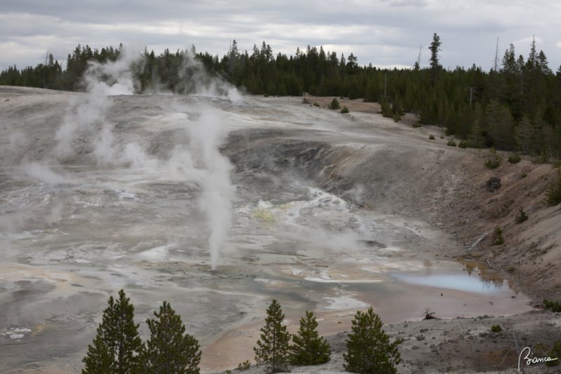 Yellowstone N.P.