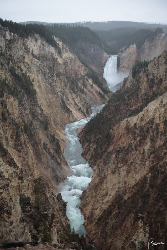 Yellowstone N.P.
