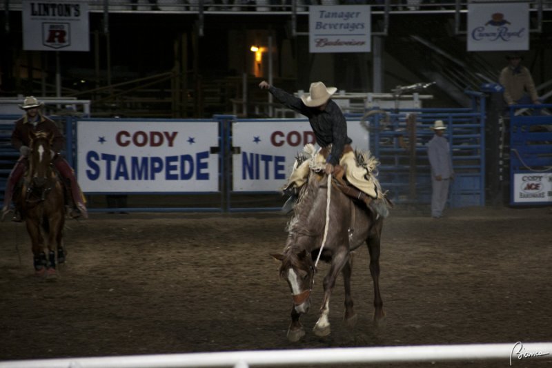 Cody