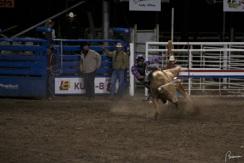 Cody