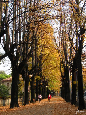 Autumn in Conegliano