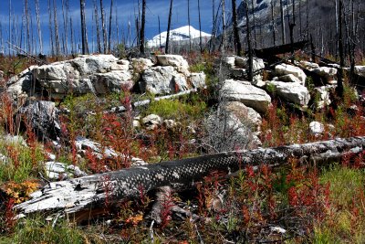 Kootenay National Park:  Marble Canyon