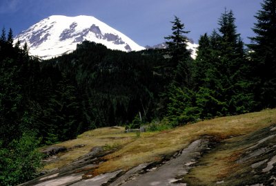 Mt. Rainier