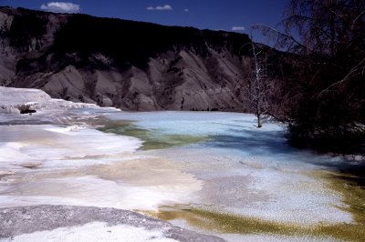 Yellowstone National Park:  Canary Spring/Mammoth Hot Springs